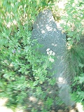 Bedevlya-tombstone-163