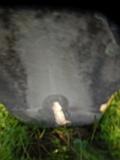 Berezovo-tombstone-178