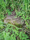Dobryanske-tombstone-renamed-29