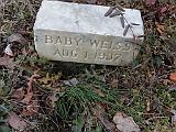 WEISS-Baby1