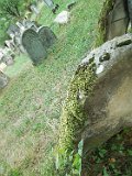 Dubove-tombstone-065