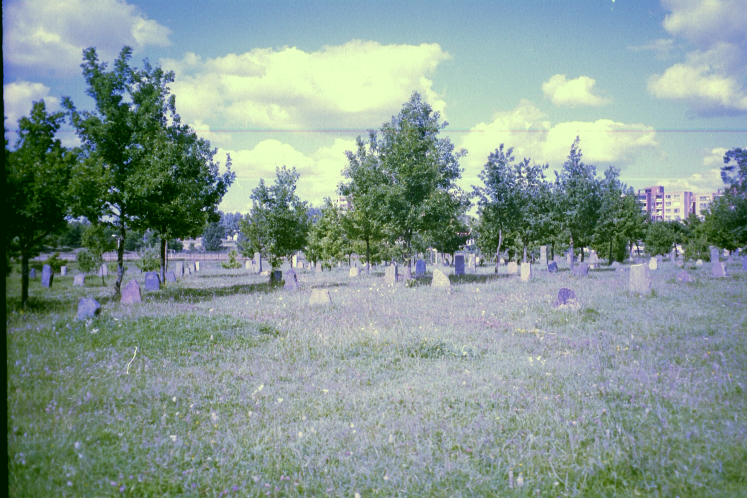 Jonava Cemetery