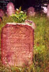 Sokolow-Cemetery-24.jpg (90269 bytes)