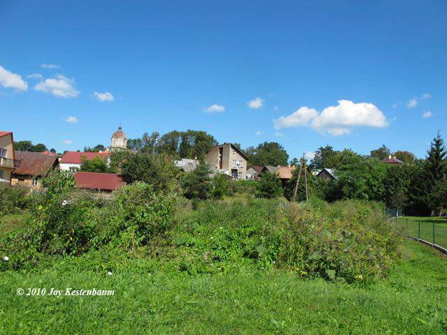 Wide view
                        of Kryzwcza with Church dome and Schacter house