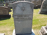 Arday-Louis