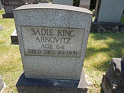 Arnovitz-Sadie-King