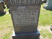 Breyer-Alex