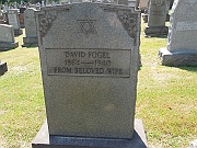 Fogel-David
