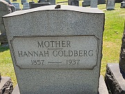Goldberg-Hannah