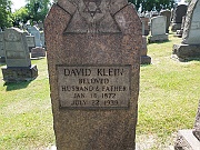 Klein-David