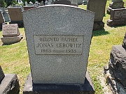 Lebowitz-Jonas