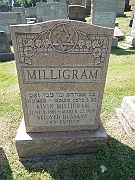 Milligram-Alvin