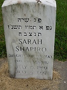 SHAPIRO-Sarah