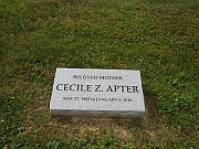 Apter-Cecile-Z