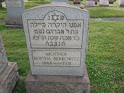 Berkowitz-Bertha