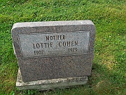 Cohen-Lottie