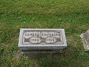 Goldberg-Adolph