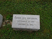 Hirshberg-Carrie-Levi