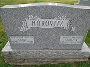 Horovitz-Aaron-and-Sadie-K