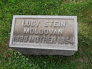 Moldovan-Lucy-Stein