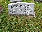 Rubenstein-David-and-Harriet