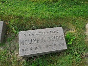 Seigle-Mollye-G