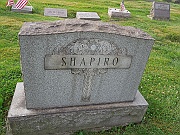 Shapiro-family-plot-stone