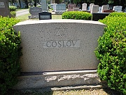 COSLOV-family-plot-stone