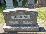 DIAMOND-Nathan-and-Hannah