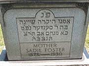 FOSTER-Sadie