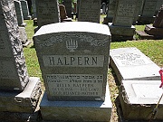 HALPERN-Bella