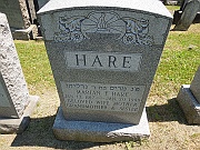 HARE-Marian-F