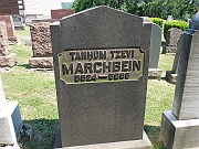 MARCHBEIN-Tanhum-Tzevi