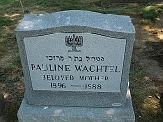 WACHTEL-Pauline
