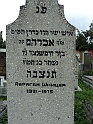 Mukacheve-Cemetery-stone-229