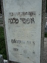 Mukacheve-Cemetery-stone-503