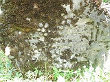 Neresnytsya-tombstone-006