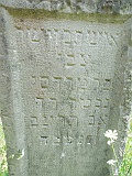 Neresnytsya-tombstone-076