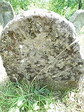 Neresnytsya-tombstone-088
