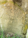 Neresnytsya-tombstone-101