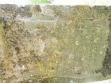 Neresnytsya-tombstone-117
