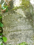 Neresnytsya-tombstone-127