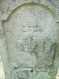 Neresnytsya-tombstone-141