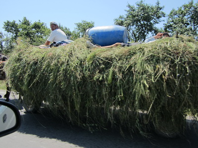 Wagon Heavily Loaded With Hay