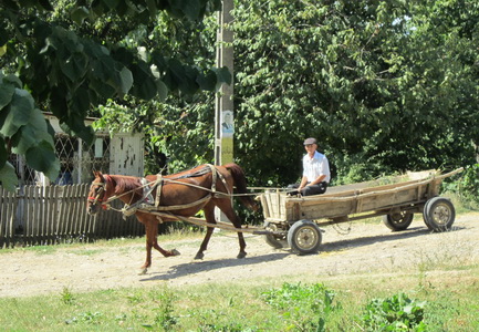 Horse-Drawn Cart