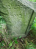Puzniakivtsi-tombstone-16