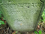 Puzniakivtsi-tombstone-19