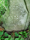 Puzniakivtsi-tombstone-23