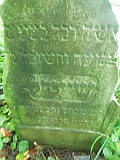 Puzniakivtsi-tombstone-29