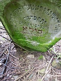 Shalanky-tombstone-renamed-07
